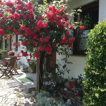 Ferienwohnung Sonne-Stadtrand Dresden Moritzburg Buitenkant foto