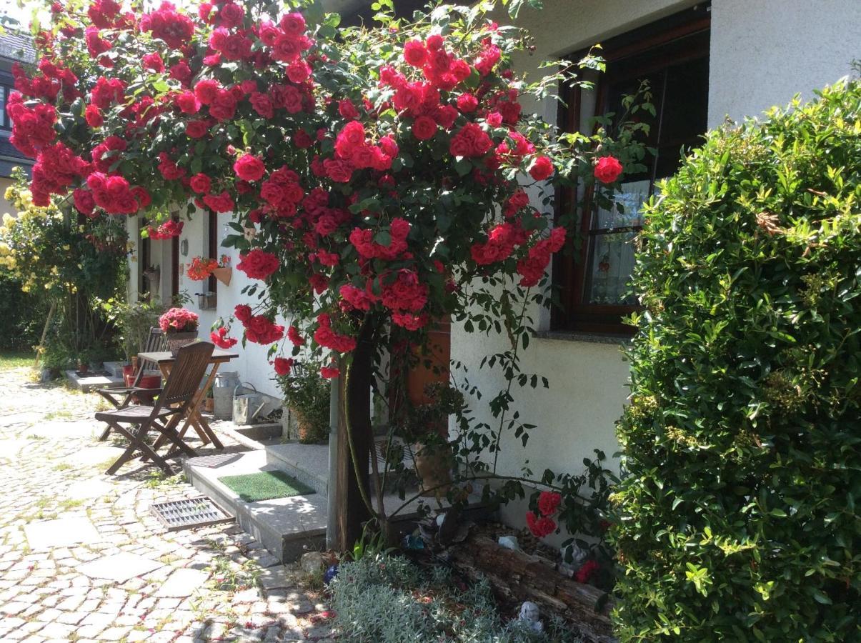 Sonne-stadtrand Dresden Appartement *